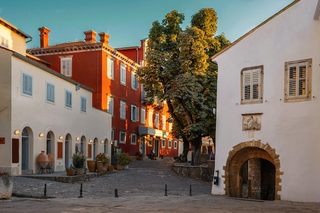 The fabulous town of Motovun on the Istrian peninsula Croatia