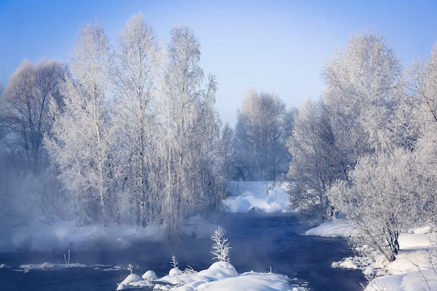 Fabulous winter landscape on the river. Trees in hoarfrost. Fog. Bright winter sunny day.