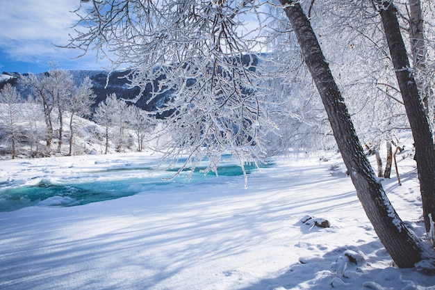 Fabulous winter landscape on the river.