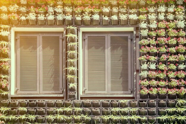 Facade of a building decorated with pots of flowers Toned