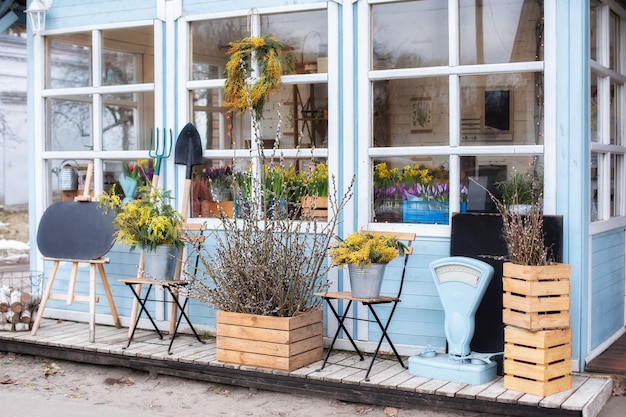 Facade home with garden tools pots flowers Cozy summer veranda Wooden porch of house with plants and branches yellow mimosa