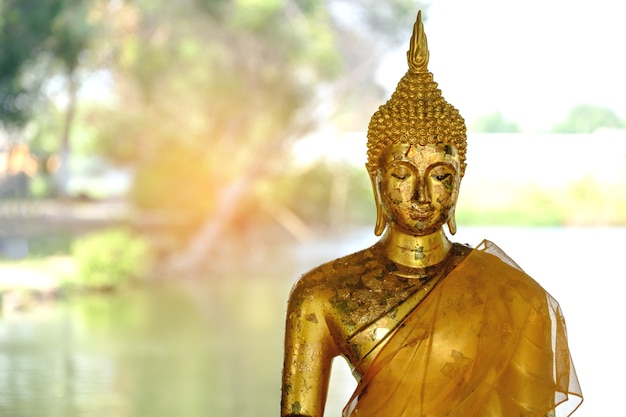 Face of Golden Buddha statue close up