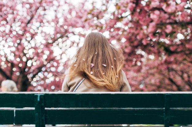 Faceless girl sitting on bench with her back Petals of sakura tree fall down to girl's head and hair