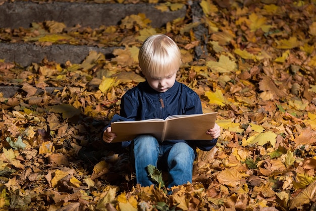 Fair haired little boy sits in autumn leaves and reading book Childrens book about magic