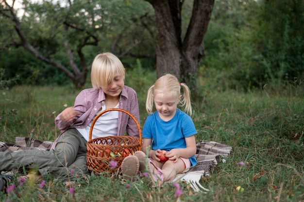 Fairhaired siblings sit in meadow on bedspread and play with apples Picnic for children on warm summer day