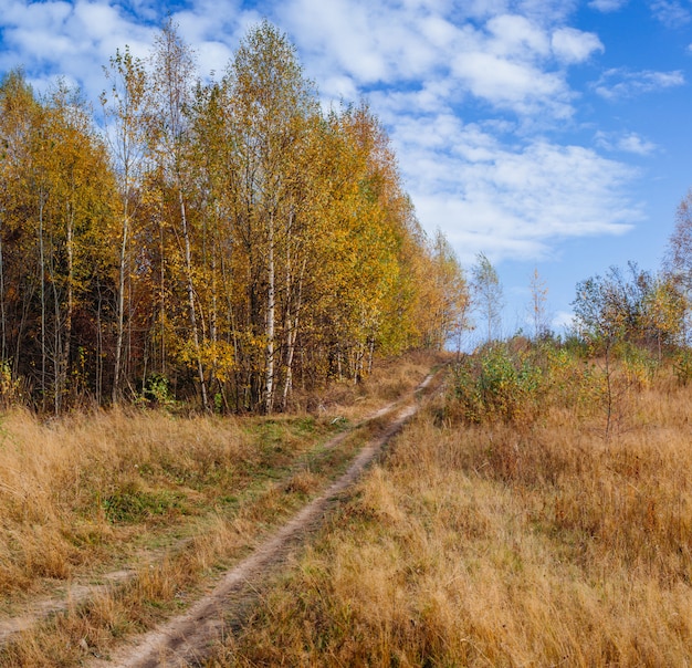 Fairy autumn Landscape