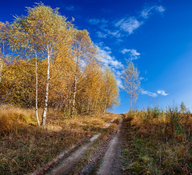 Fairy autumn Landscape