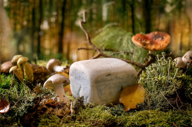 Photo fairy tale ambiance magical autumn forest background. cube stone as display podium for natural eco products. autumn leaves, moss, wild mushrooms around. creative layout. nature advertising concept