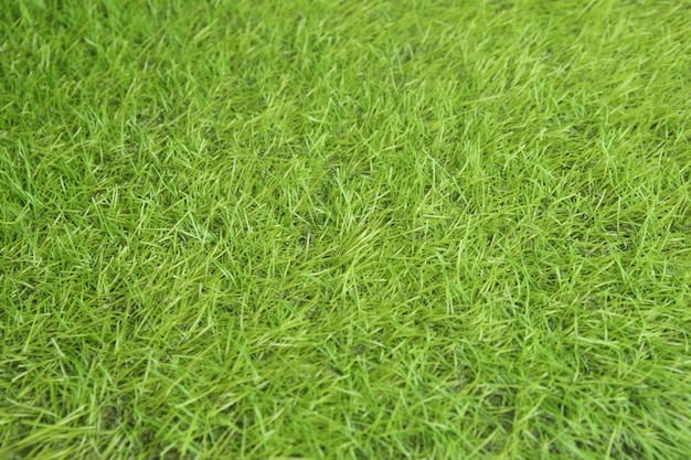 Fake green grasses for background