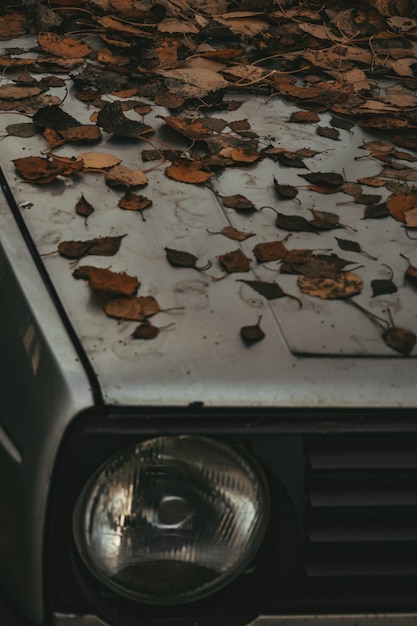 Fall aesthetic composition Dirty bumper of the white car with fallen dry brown leaves Car parked under tree in autumn Atmospheric urban landscape Soft focus