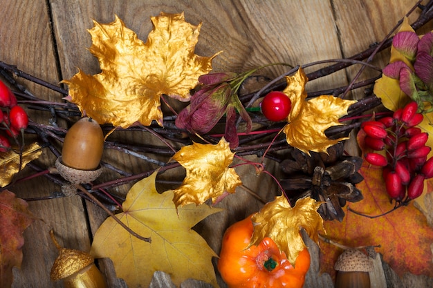 Fall background with golden and colorful maple leaves