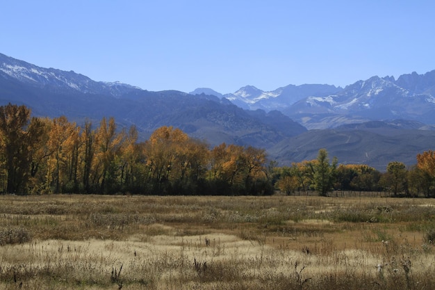 Fall colours in June lake and Eastern sierras California