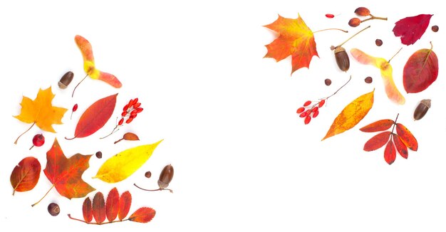 Fall composition border with autumn leaves isolated on white