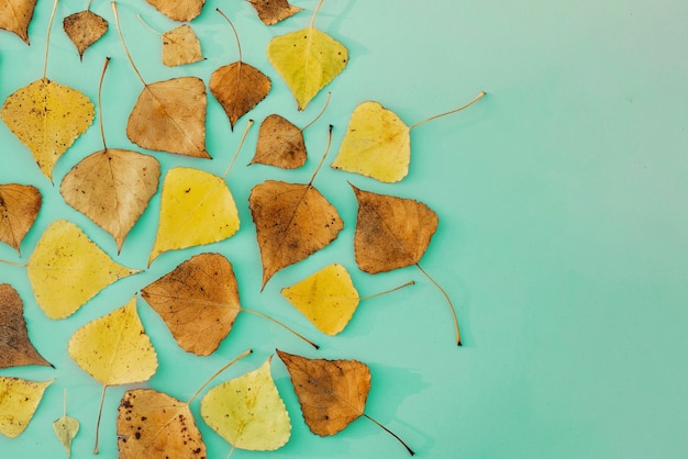 Fall composition pattern frame made of autumn dried leaves on blue background