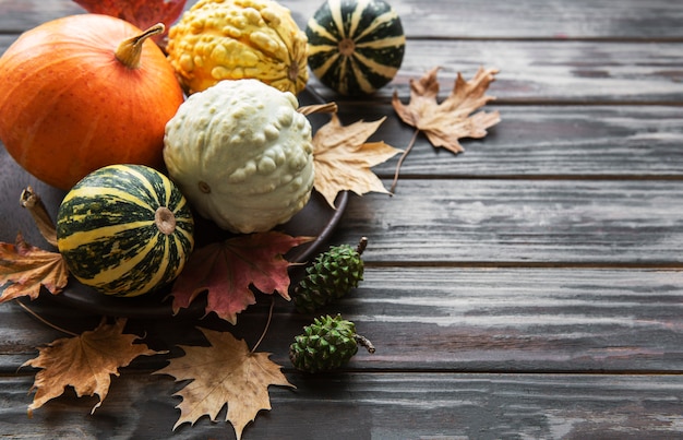 Fall composition with multi color pumpkins on rustic background