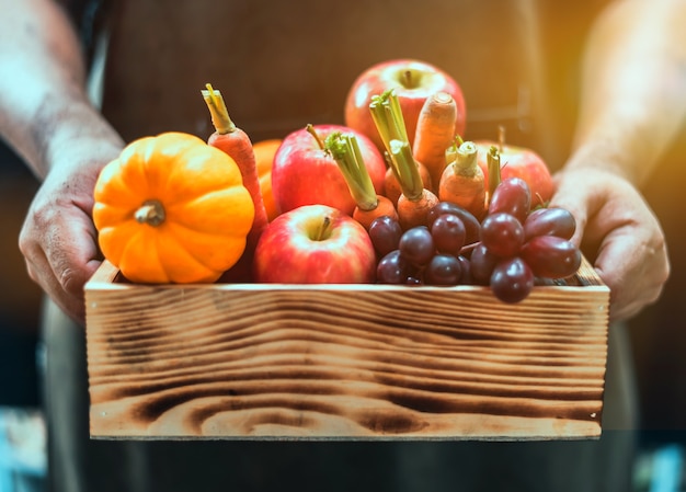 Fall harvest cornucopia. Autumn season with fruit and vegetable. Thanksgiving day concept.