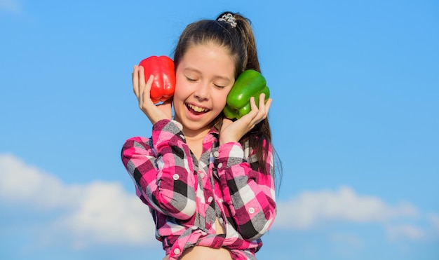 Fall harvest homegrown vegetables Choose which Alternative decision concept Kid girl hold red and green peppers sky background Kid hold ripe pepper harvest Child presenting kinds of pepper