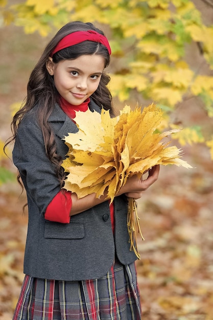 Fall is a time for school good weather for walking outdoor child hold autumn leaves beauty of nature happy girl with long hair girl gather yellow maple leaves kid in autumn park