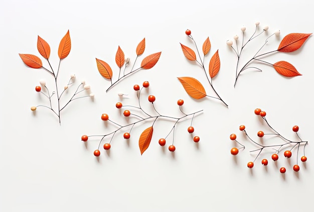 fall leaves and berries on a white background