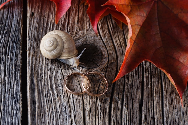 Fall on leaves on weathered table with wedding rings