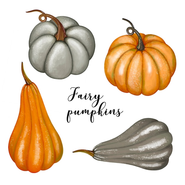 Fall pumpkins clipart harvest vegetables set