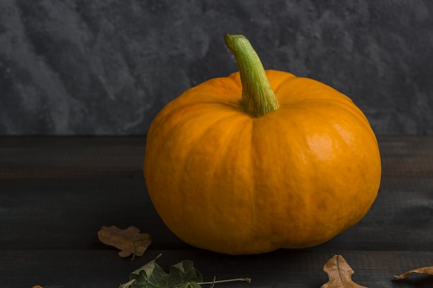 Fall Thanksgiving and Halloween pumpkin with dry leaves on a dark background.