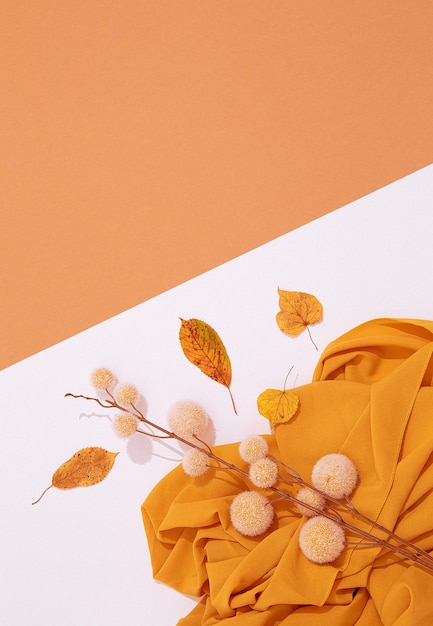 Fall Winter minimalist background Autumn brunch decor leaf and fabric