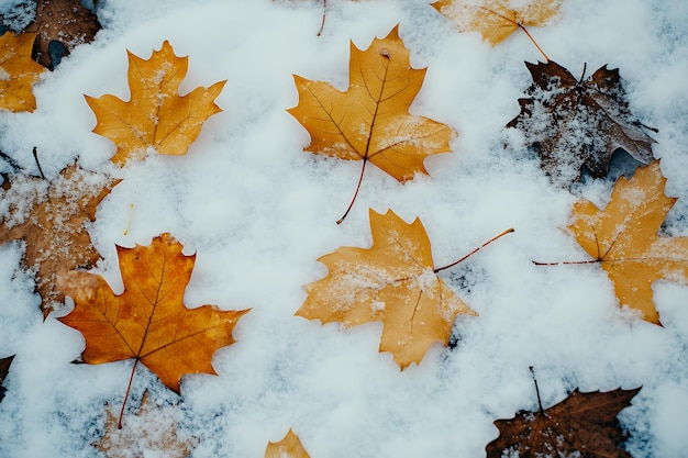 Fallen autumn leaves covered in snow