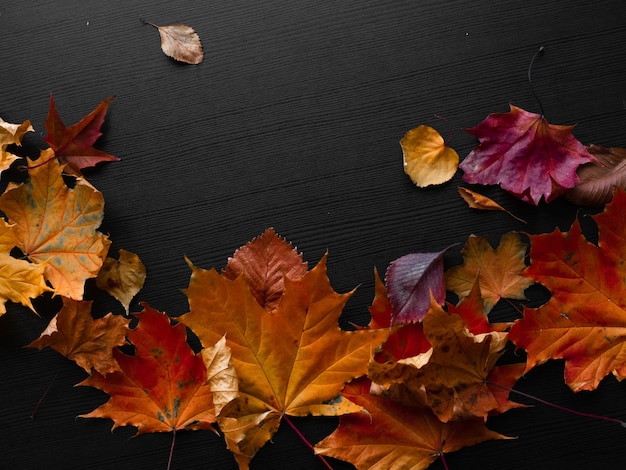 Fallen autumn leaves in the shape of a border copy space for your text