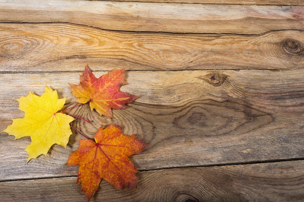 fallen maple leaves on wood table background, copyspace