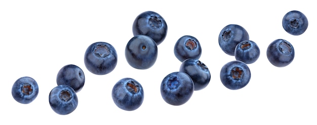 Falling blueberry isolated on white background