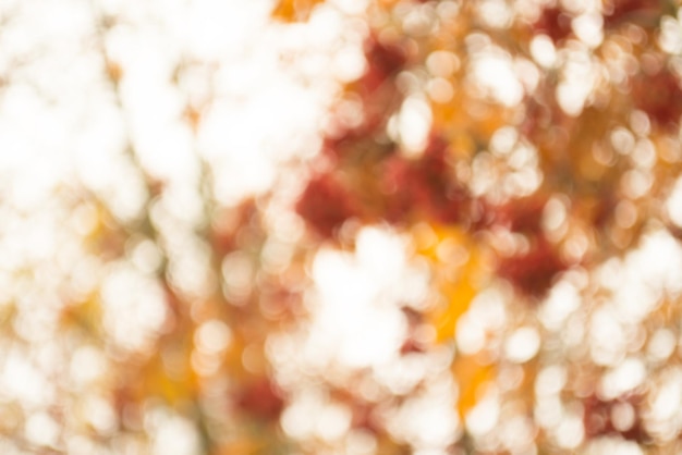 Falling leaves natural bokeh background