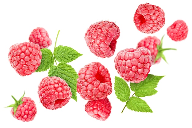 Falling raspberry