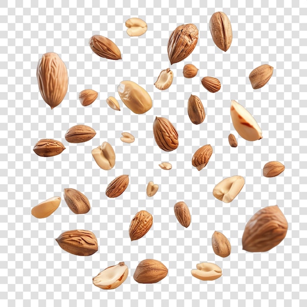 falling Various nuts set realistic nuts