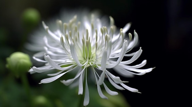 False Bucks Beard Flower Beautifully Bloomed Generative AI