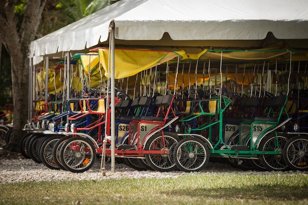 Family bicycles for four people are waiting for a trip in oldest the zoo Miami