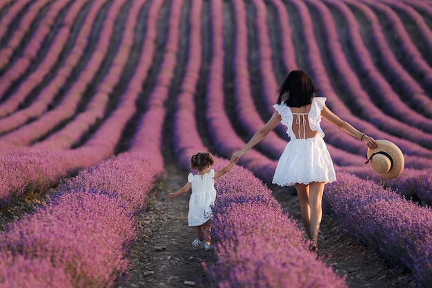 family in lavender field