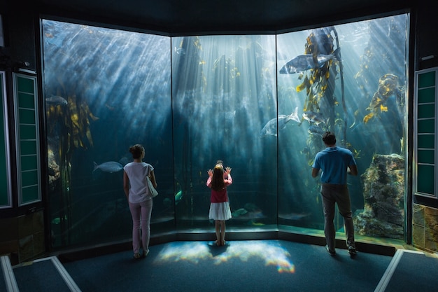 Family looking at fish tank