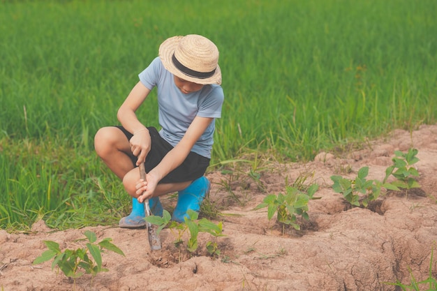 Family people planting the tree in garden