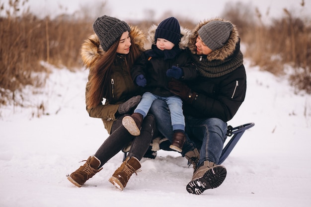 Family sledging in a winter park