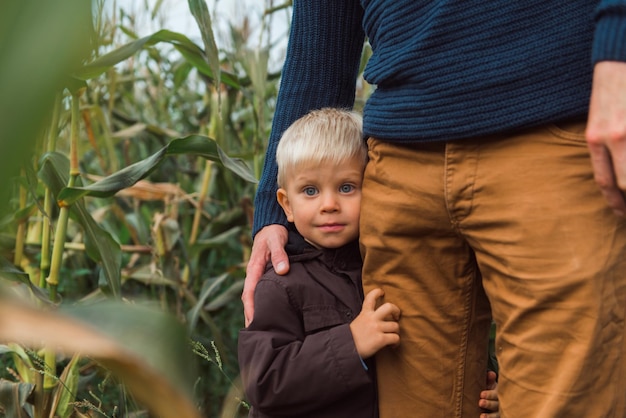 Family walking in corn field at autumn kid hug parent