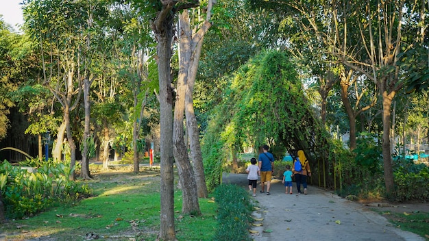 a family walks in the park in the morning