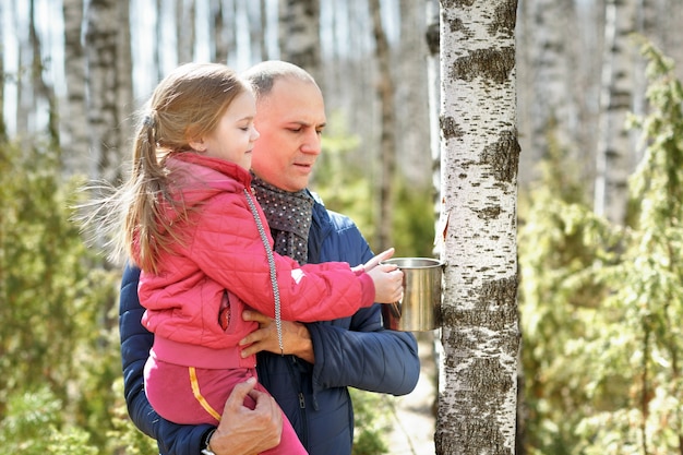 Family in wood collecting birch sap to steel mug