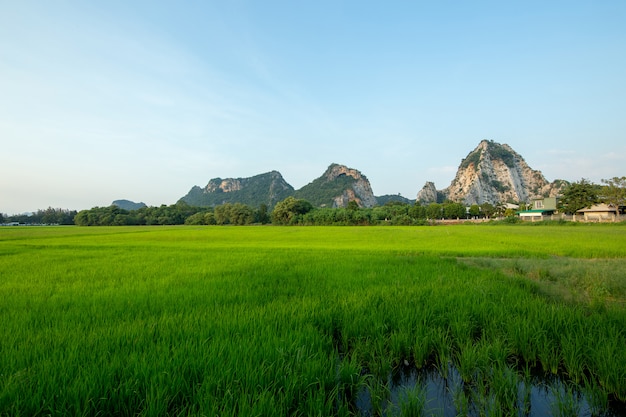 Famous limestone rocks in Ratchaburi province, Thailand