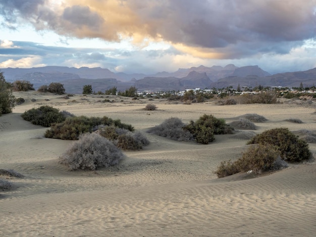 Photo famous natural park maspalomas dunes in gran canaria at sunset canary island spain