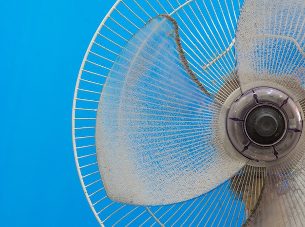 Fan dirty with dust and dead insects.