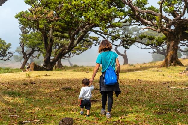 Fanal forest in Madeira mother with her son having fun among laurel trees in summer