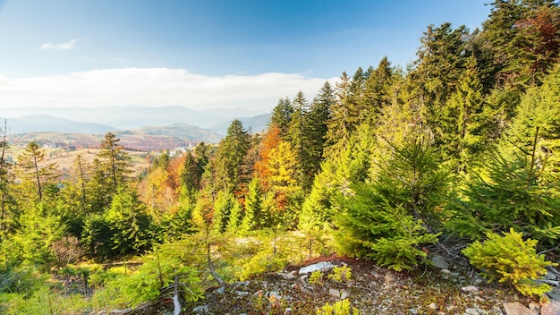 Fantastic aerial footage of a mountain rock covered with coniferous forest Bird's eye view Carpathian National Park Ukraine Europe Cinematic drone shot Filmed in UHD 4k video Beauty earth