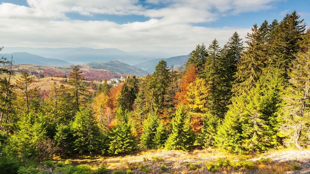 Fantastic aerial footage of a mountain rock covered with coniferous forest Bird's eye view Carpathian National Park Ukraine Europe Cinematic drone shot Filmed in UHD 4k video Beauty earth