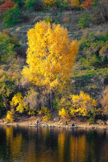 Fantastic autumn landscape on the river Colorful morning view of autumn yellow and green trees with reflection on water Beauty of nature